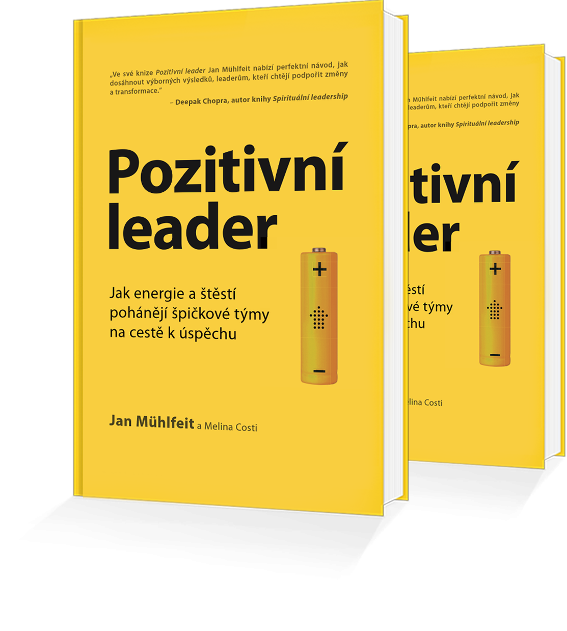 Kniha Pozitivní leader