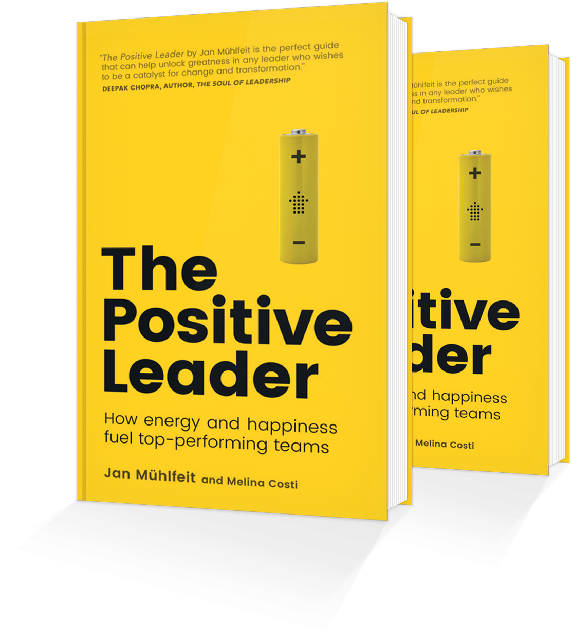 The Positive Leader